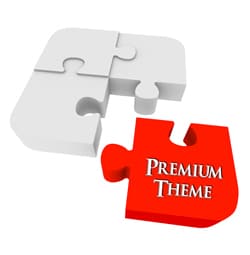 Premium WordPress Theme